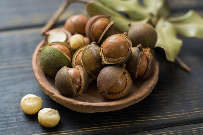 Orzechy makadamia - jakie mają właściwości? Dlaczego warto je jeść?