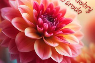 Dzień dobry w środę! Fajne obrazki do wysłania znajomym