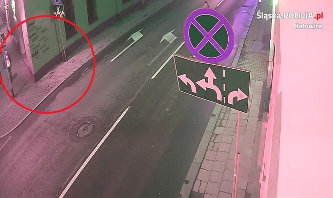 Katowice: Ukradł drzewo w centrum miasta. Policjanci poszukują tego mężczyzny