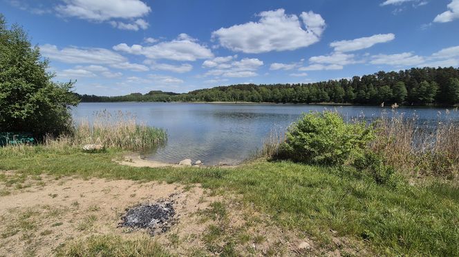 To jezioro w Olsztynie ma niezwykle czystą wodę. Jest kilka dzikich plaż, które świecą pustkami