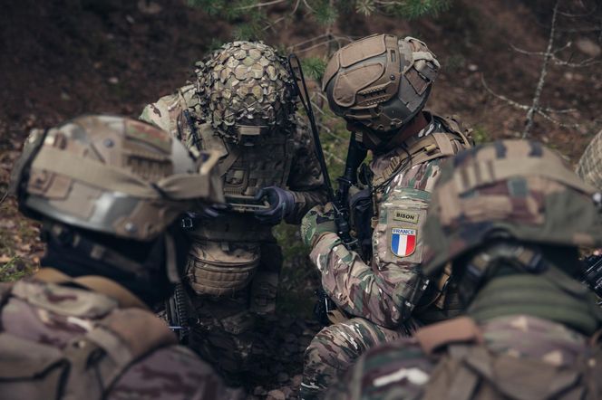 40 km ziemi za pokój? Europa rozważa drastyczny plan dla Ukrainy
