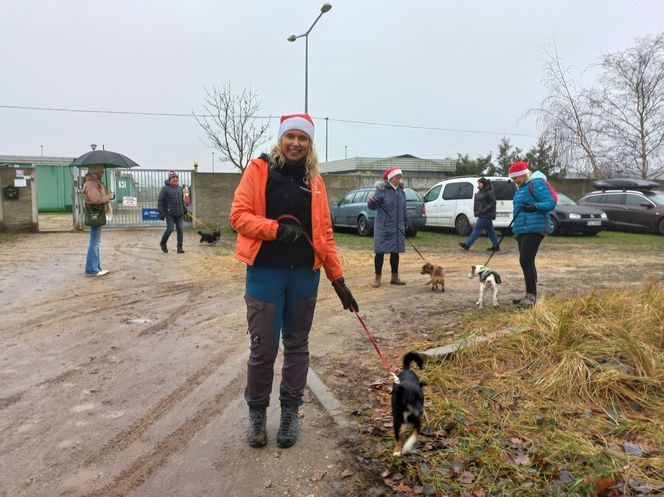 Bieg z seniorkiem - akcja schroniska w Hnerykowie dla podopiecznych psów