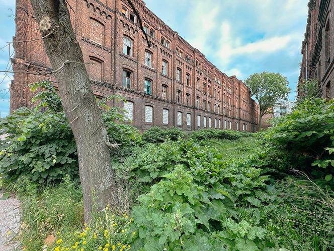 Zabytkowe famuły Izraela Poznańskiego w Łodzi 