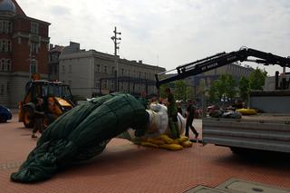 Palmy wróciły na rynek w Katowicach