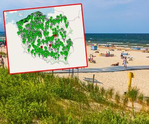 Mapa sinic 2025. Które kąpieliska są zamknięte?