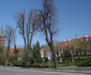Błażowa