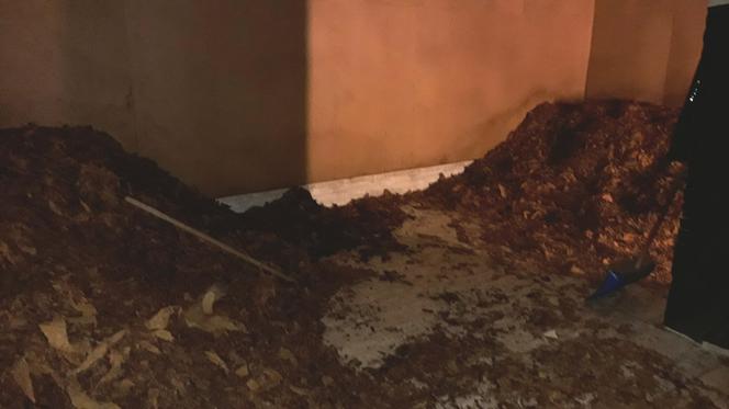 GIGANTYCZNA akcja straży granicznej. Wpadł szef grupy przestępczej! 