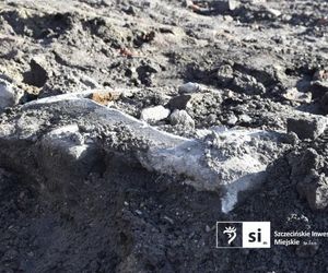 Odkrycia archeologiczne przy ul. Zbożowej