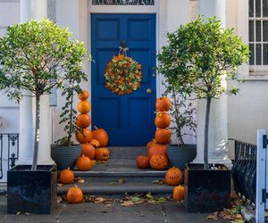 Modne ozdoby na Halloween: bukiety z gałązek, kurtyny z pajęczyn
