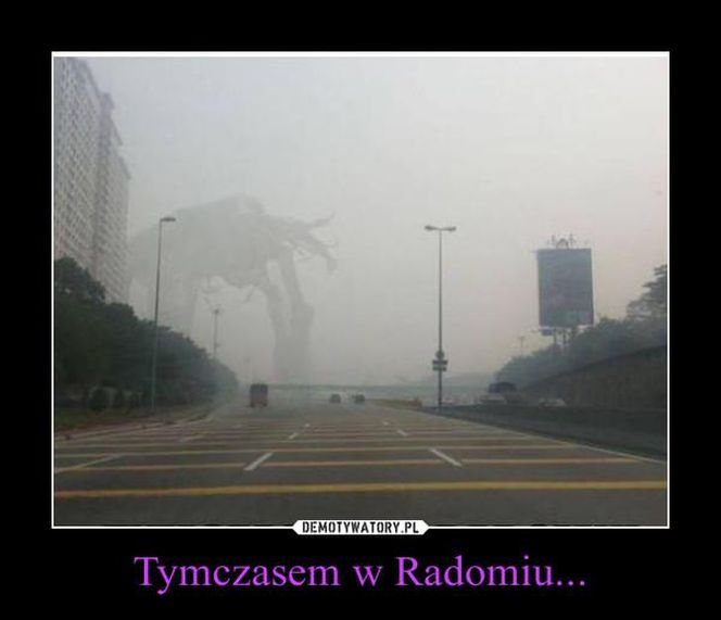 MEMY o Radomiu