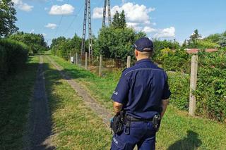 Policyjna akcja na terenie szczecineckich ogródków działkowych