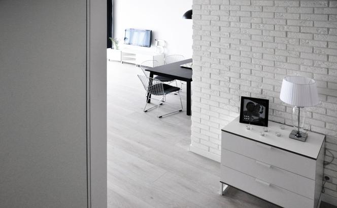 Cegła na ścianie PARMA Stegu