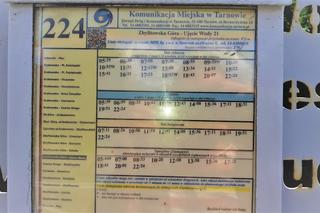 Znikają linie 210, 213 i 224. Podtarnowskie gminy wypuszczają w trasę własne autobusy    