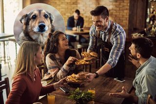 Zjedz pizzę lub ramen. Pomożesz zwierzętom jak nigdy! Ruszyła kolejna edycji społecznej akcji