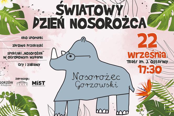 Gorzów: Nosorożec