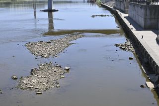 Niski stan wody w Wiśle