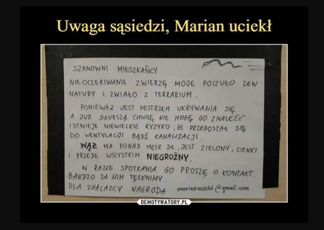 Oto najlepsze ogłoszenia z klatek schodowych!