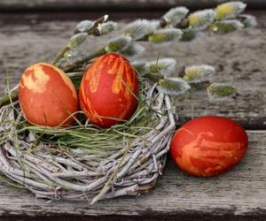 Wielkanocne zwyczaje w Świętokrzyskiem. Jak dobrze je znasz? 