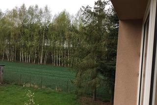 Dom Elżbiety z Sanatorium miłości 