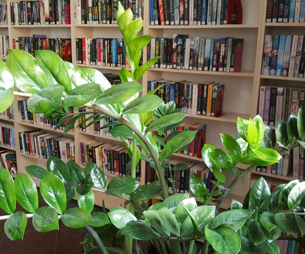 Rośliny w bibliotece
