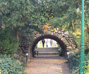 Jesień w Ogrodzie Botanicznym UKW. To ostatnia szansa na spacer wśród złotych liści!