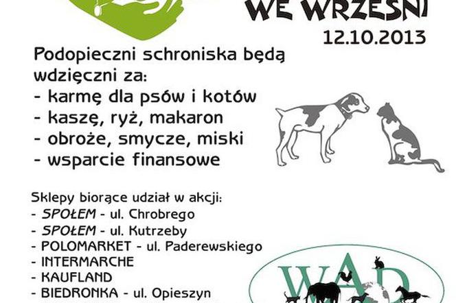 Pomóż czworonogom ze schroniska