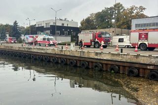 Wrocław. Wyłowiono ciało 30-latka z Odry. Tragedia w Porcie Osobowice