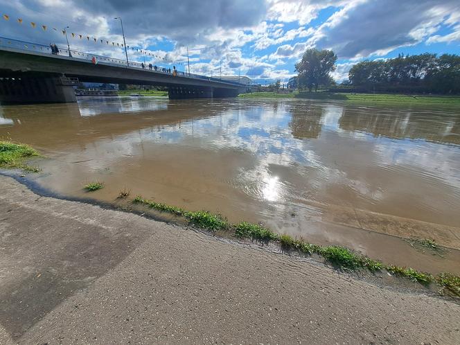 Fala kulminacyjna na Wiśle w Krakowie