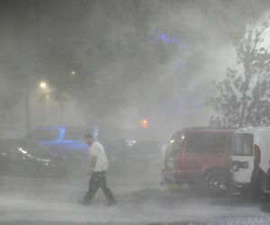 Aligatory wpływają do domów! Apokaliptyczne sceny na Florydzie