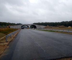 Budowa drogi S19 na odcinku Haćki-Bielsk Podlaski