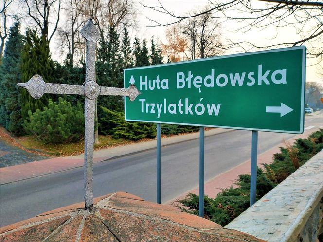 Godzinę od Warszawy leży „największy sad Europy”. To tu zabłądził sam król Kazimierz