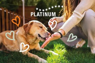 PLATINUM – żywienie psów inne niż wszystkie. Z miłości do psów, nie tylko od święta!