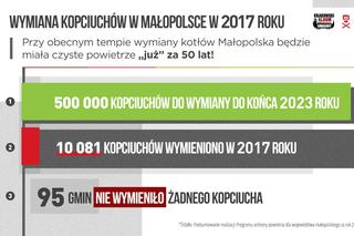 Małopolska: Wygramy ze smogiem... za 50 lat [AUDIO]