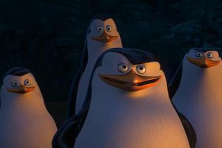 Pingwiny z Madagaskaru w kinie! - ZWIASTUN filmu pełnometrażowego!