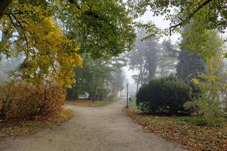 Zamojski Park jesienią