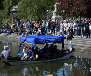 Piknik Europejski w Łazienkach Królewskich (1 maja)