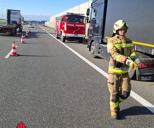 Wypadek na A1. Samochód wjechał w tył ciężarówki