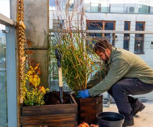 Jesienna metamorfoza balkonu