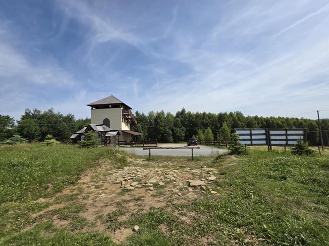 Wieża widokowa w Korczynie