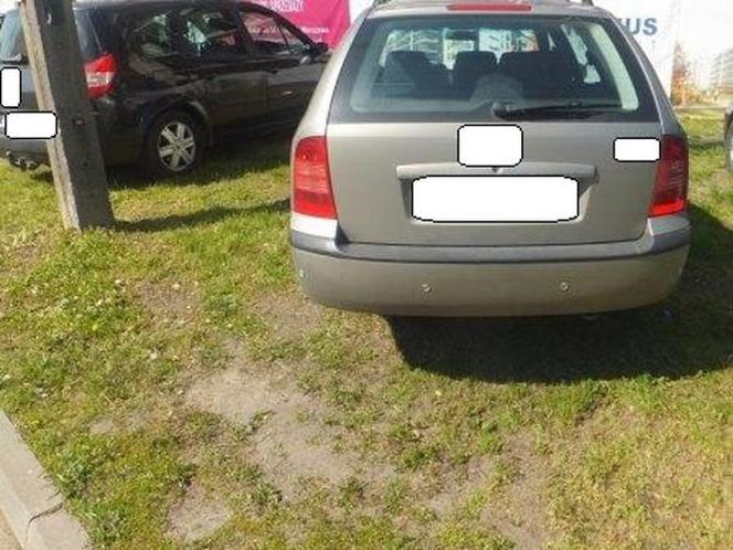 Samochody parkujące na trawnikach w Warszawie [ZDJĘCIA]