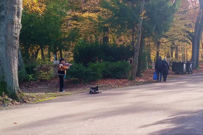 1 listopada na Cmentarzu Centralnym w Szczecinie