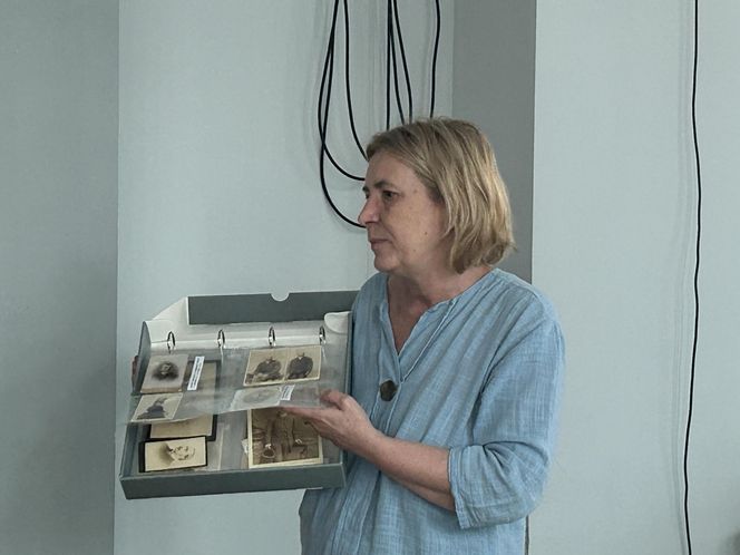 warsztaty w Miejskiej Bibliotece Publicznej w Koninie