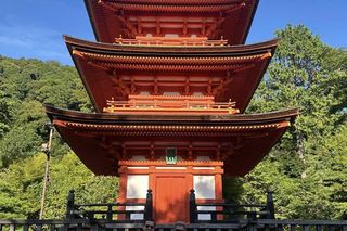 Lewandowski i Szczęsny w Kyoto