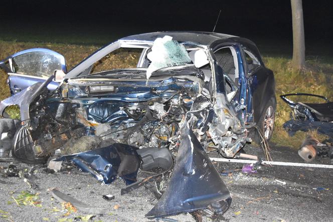Tragiczny w skutkach wypadek na drodze relacji Śrem – Zaniemyśl