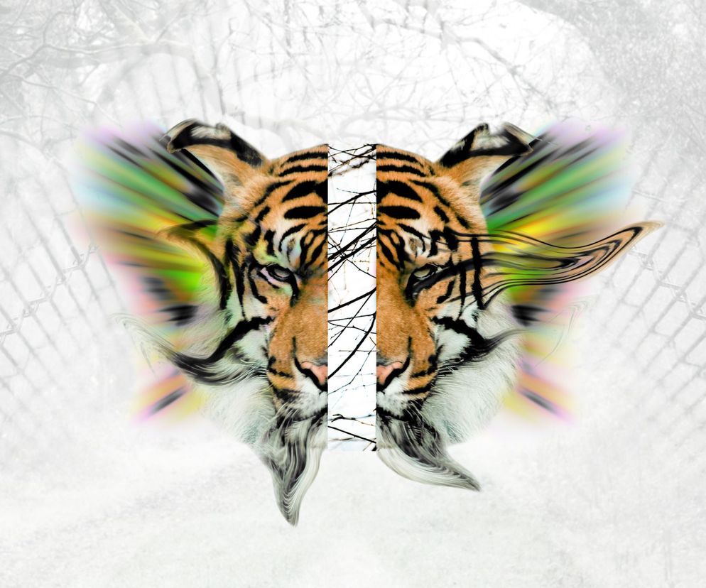 LSD (kwas lizergowy) uzależnia! Objawy i skutki zażycia narkotyku