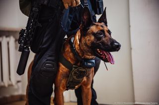 Krajowe ćwiczenia ratownicze SIEMIANÓWKA 2025