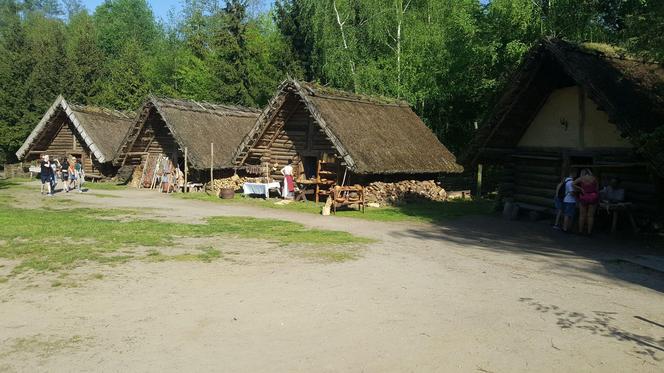 Majówka w Biskupinie