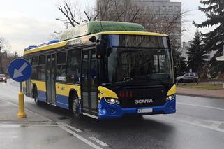 Magistrat zapowiada DIAMETRALNE zmiany w centrum Tarnowa. Autobusy będą uprzywilejowane