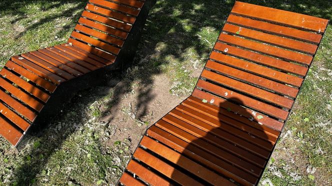 Park Lawendowy na osiedlu TBS w Białymstoku