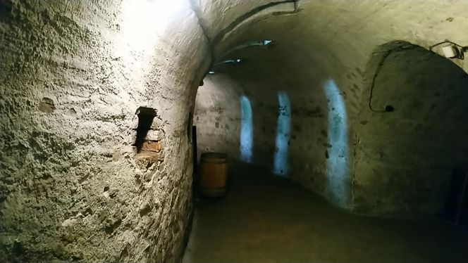O tym mieście mówią "mała Praga". Twierdza, podziemia i najstarszy kamienny most 